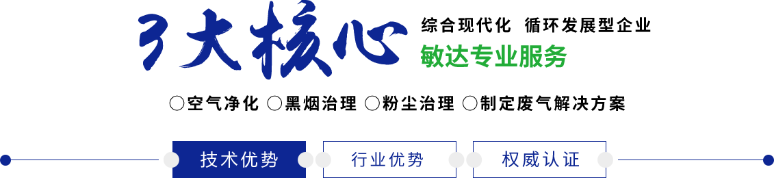 日屄视频网站应用敏达环保科技（嘉兴）有限公司